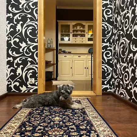 Wyjatkowy W Sercu Jeleniej Gory *