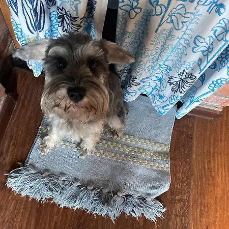 Wyjątkowy W Sercu Jeleniej Góry *