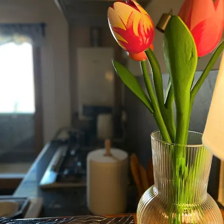 Apartment Wyjatkowy W Sercu Jeleniej Gory Jelenia Gora