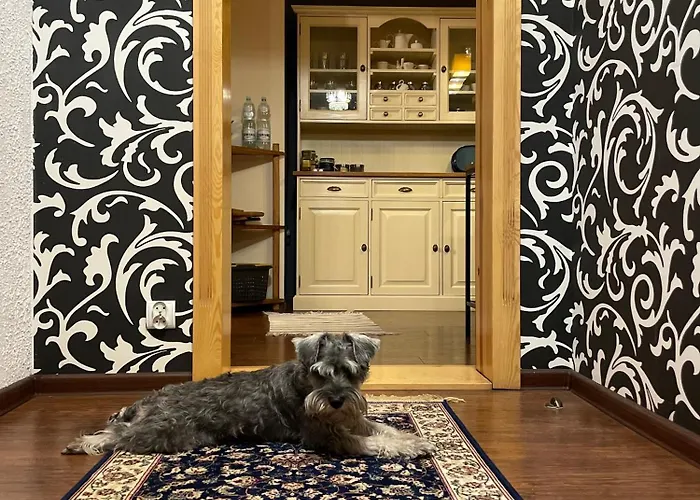 Wyjatkowy W Sercu Jeleniej Gory *