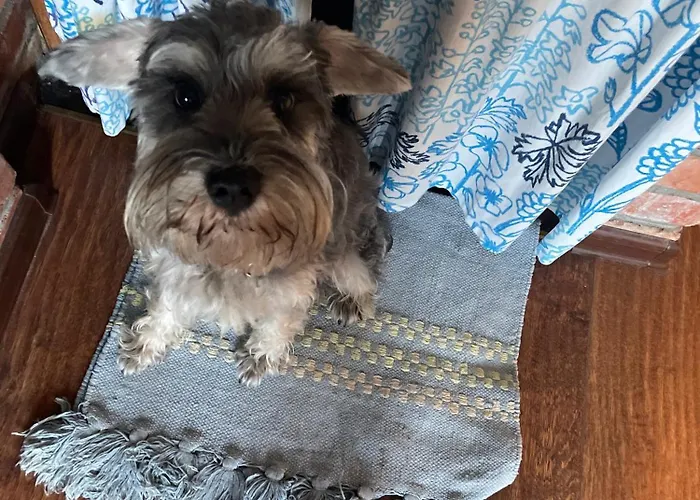 Wyjatkowy W Sercu Jeleniej Gory *