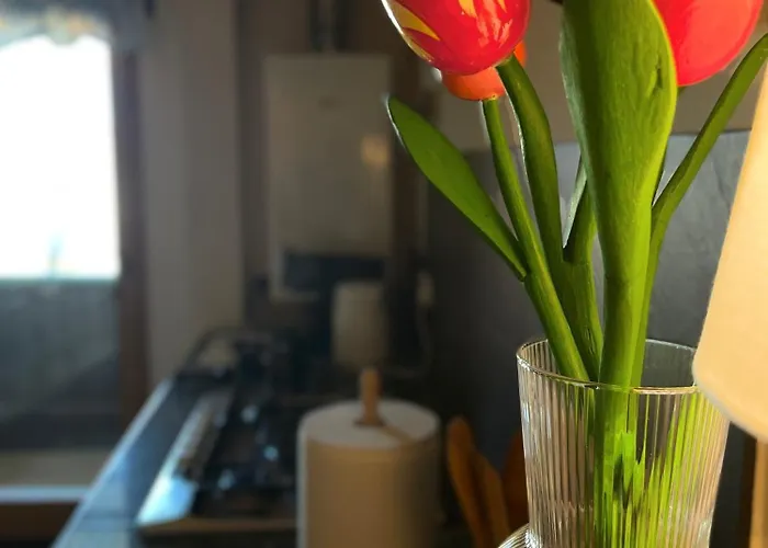 Апартаменты Wyjatkowy W Sercu Jeleniej Gory Еленя-Гура