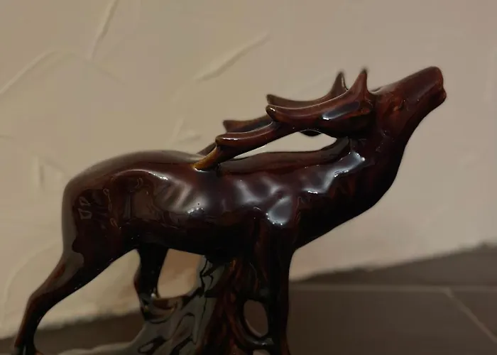 Wyjatkowy W Sercu Jeleniej Gory Еленя-Гура