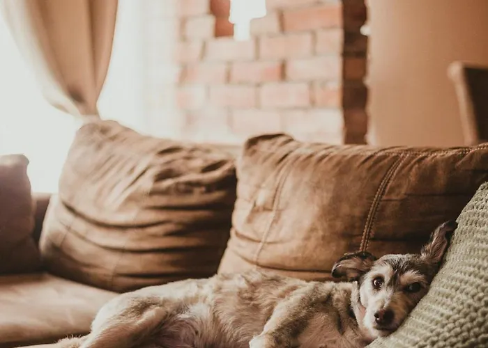 Wyjatkowy W Sercu Jeleniej Gory Appartement